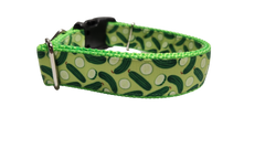 Pickles Nylon Dog Collar
