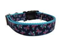 Pink and Blue Butterflies Nylon Dog Collar