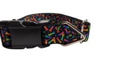 Neon Bones Nylon Dog Collar MD, LG, XL, Leash