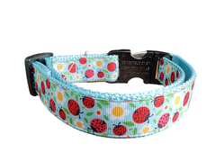 Ladybugs and Daisies Light Blue Nylon Dog Collar MD, LG, XL, Leash