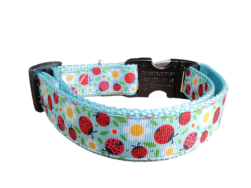 Ladybugs and Daisies Light Blue Nylon Dog Collar MD, LG, XL, Leash