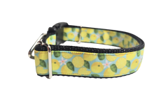 Lemons Nylon Dog Collar