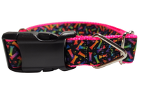 Neon Bones Nylon Dog Collar MD, LG, XL, Leash