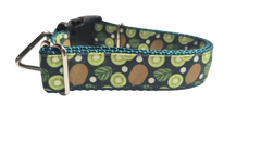 Kiwi Fruit Nylon Dog Collar