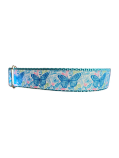 Blue Butterflies Nylon Dog Collar