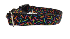 Neon Bones Nylon Dog Collar MD, LG, XL, Leash