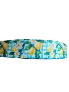 Gingham Lemons Nylon Dog Collar