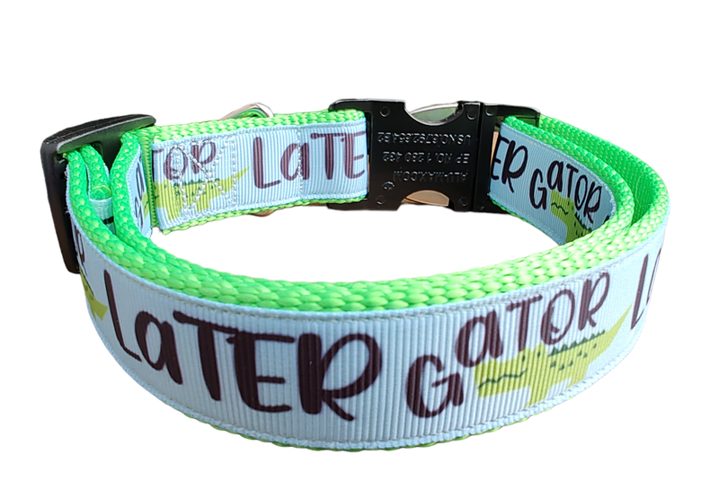 Later Gator Neon Green Nylon Dog Collar MD, LG, XL, Leash, Martingale