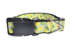 Lemons Nylon Dog Collar