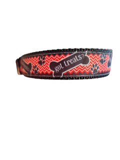 Got Treats? Nylon Dog Collar