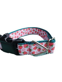 Strawberry Flowers Green Nylon Dog Collar MD, LG, XL, Leash
