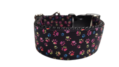 1.5" Wide Colorful Pawprints Nylon Dog Collar
