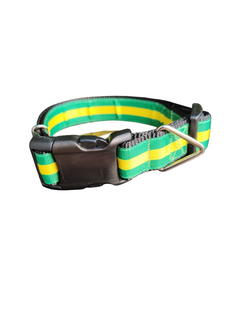 Green And Gold Nylon Dog Collar